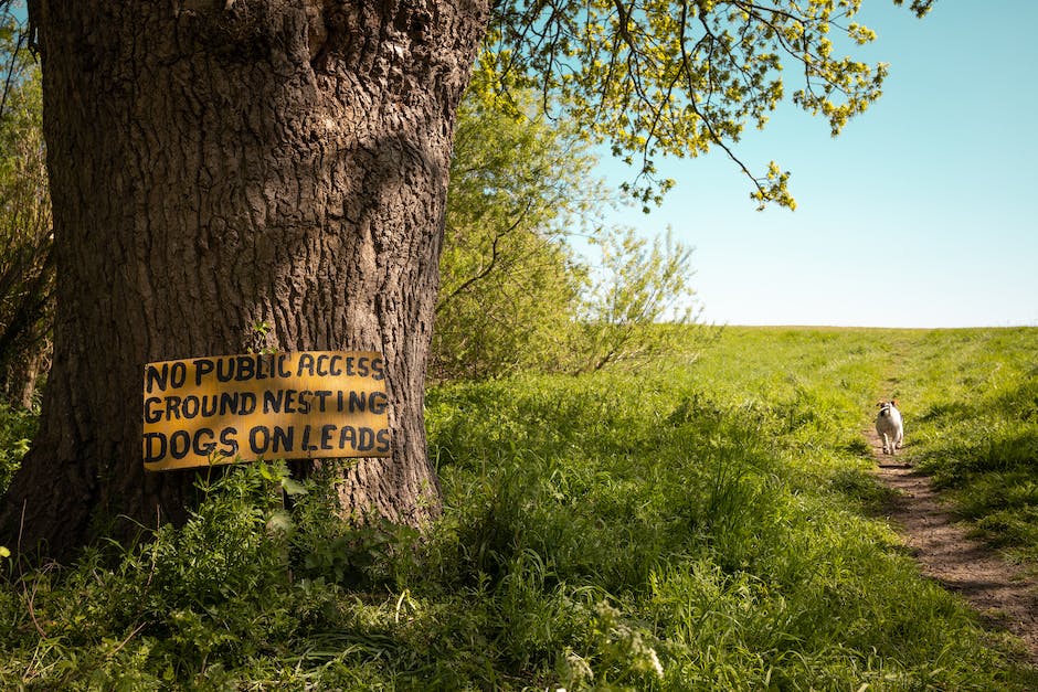 Wann Fristlos Kündigung Mietwohnung Rechtlich Möglich