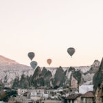 Fliegen aus der Wohnung entfernen