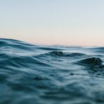 Wasserschaden in der Wohnung beheben