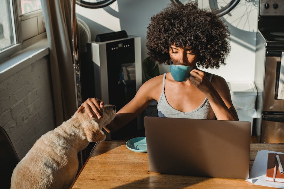 Was tun wenn ein alter Hund in die Wohnung macht?