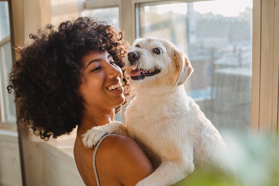 alt Attribut: Was tun wenn der Hund in die Wohnung pinkelt?