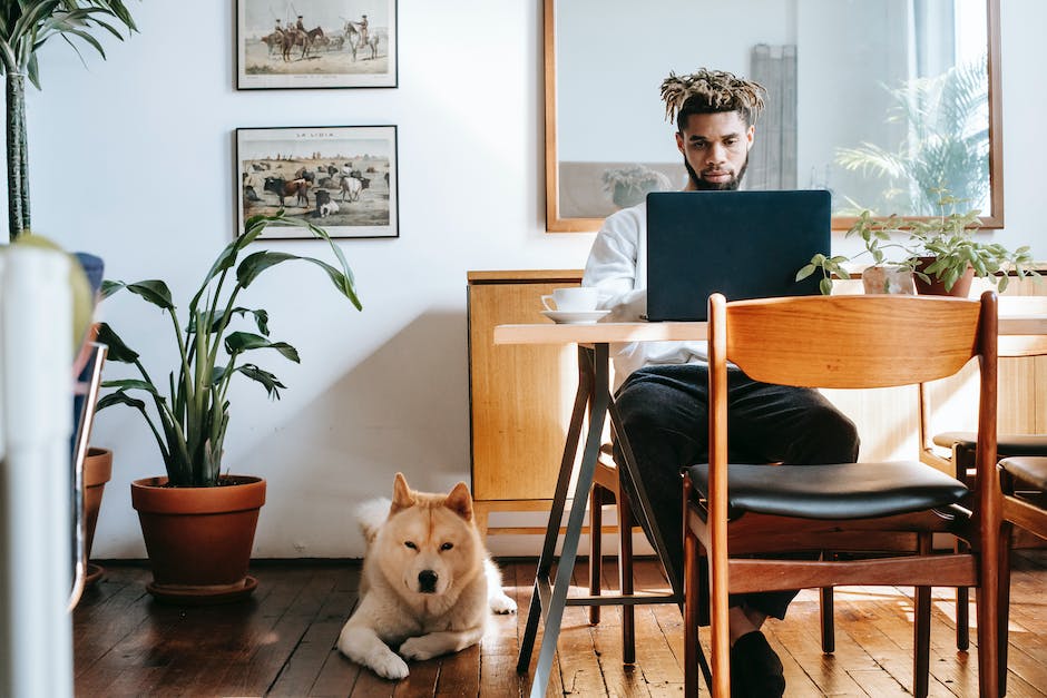 Hilfe beim Entfernen von Hundekot aus der Wohnung