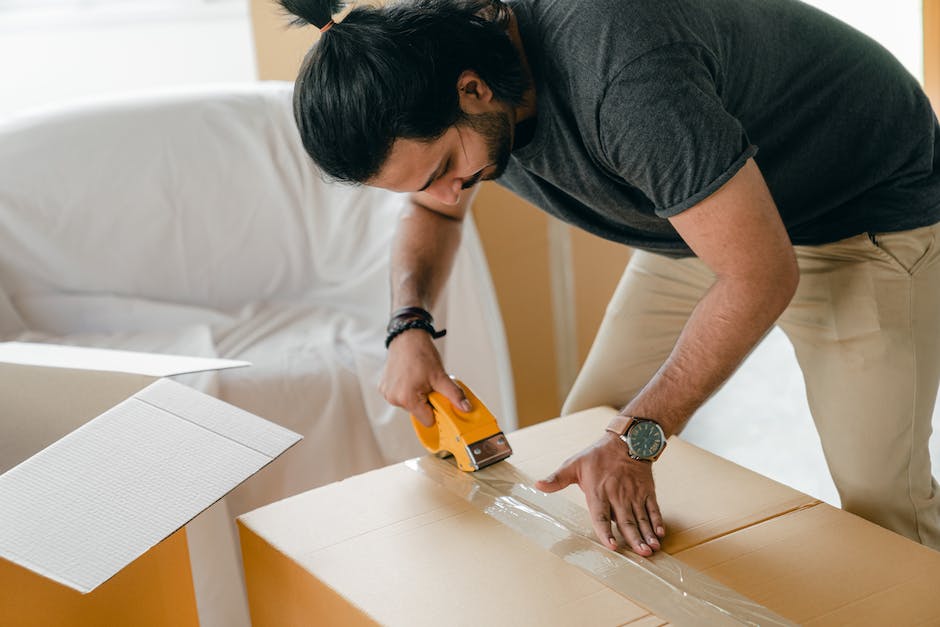  Hornisse in der Wohnung bekämpfen