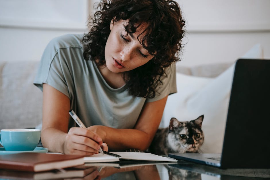 Katze in Wohnung urinieren verhindern